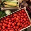 vegetables
