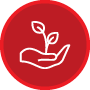 icon-box