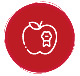 icon-box