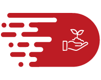 icon-box